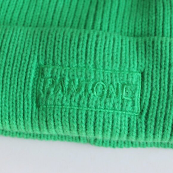 Forever 21 x Pantone Knit Green Beanie Hat Unisex NWT One Size - Picture 3 of 4